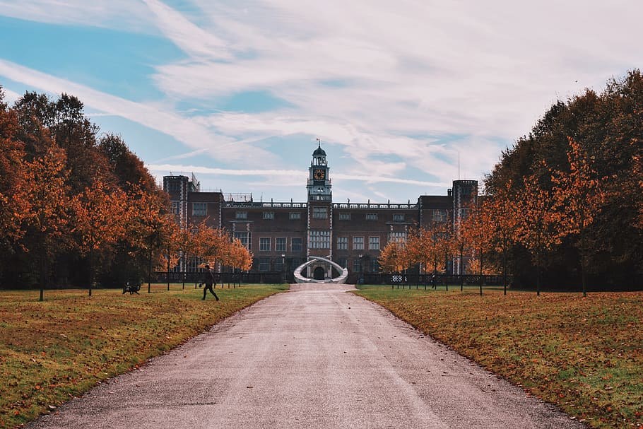 The tree-lined approach to Hatfield House in autumn